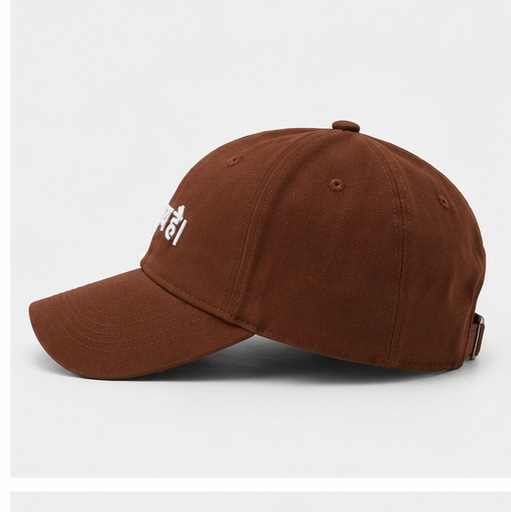 The HEADSHOT Destiny Cap: "सब ताय है."