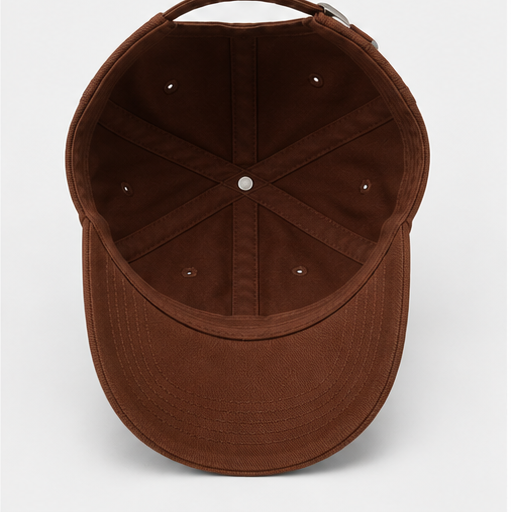 The HEADSHOT Destiny Cap: "सब ताय है."